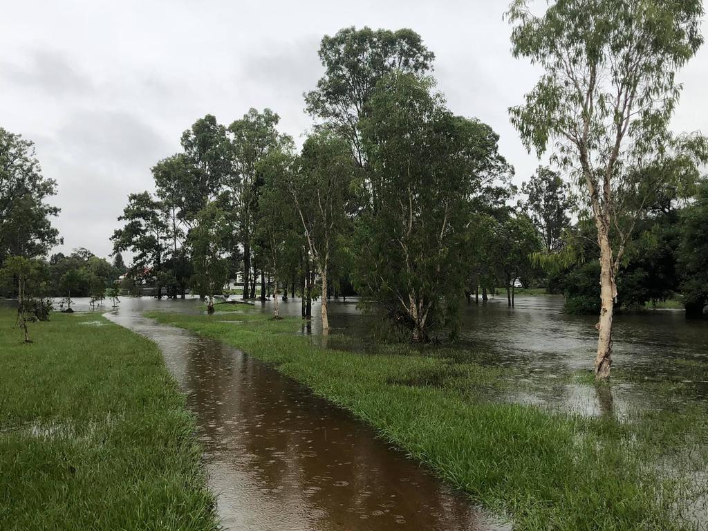 Flooding at Kookaburra Park in Rocklea. It is the flooding of Stable Swamp Creek that is pushing the water into the area. Photo: Steph Dubignon