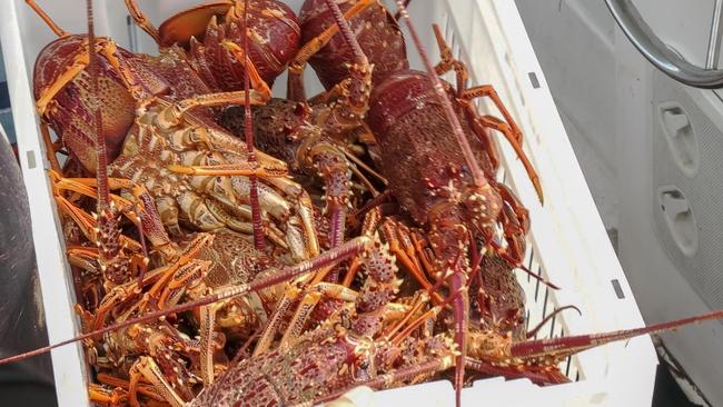 Australian lobsters have been subject to customs clearance issues in China.