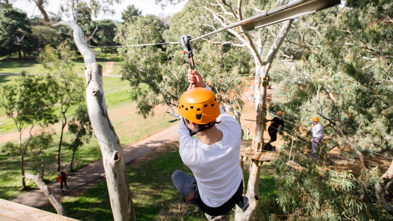 Charlie, 15, zip lining through the tree tops at the TreeClimb Adelaide. Picture: Morgan Sette