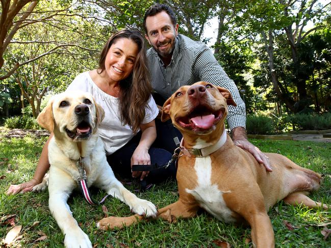 SavourLife owners Michael and Kim McTeigue with their rescue dogs Max and Missy. Picture: Toby Zerna