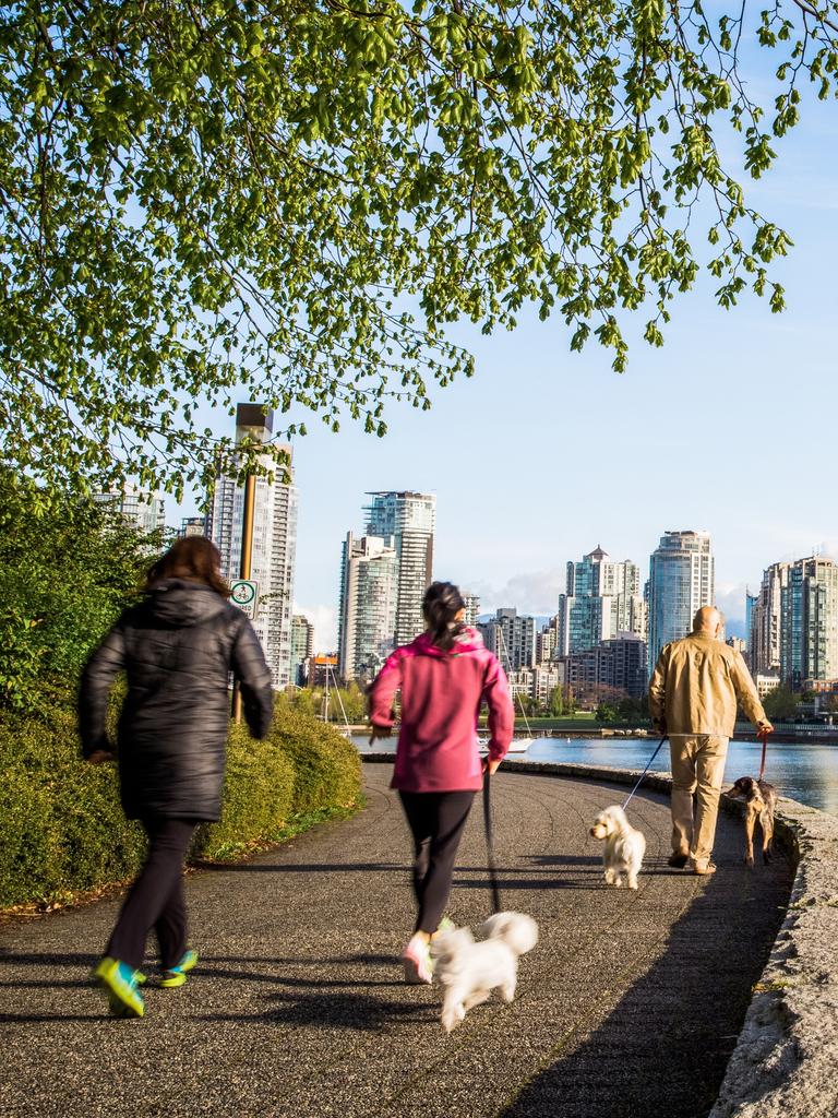 Pet owners should check to make sure surfaces aren’t too hot before going outside on walks. Photo: Getty Images.