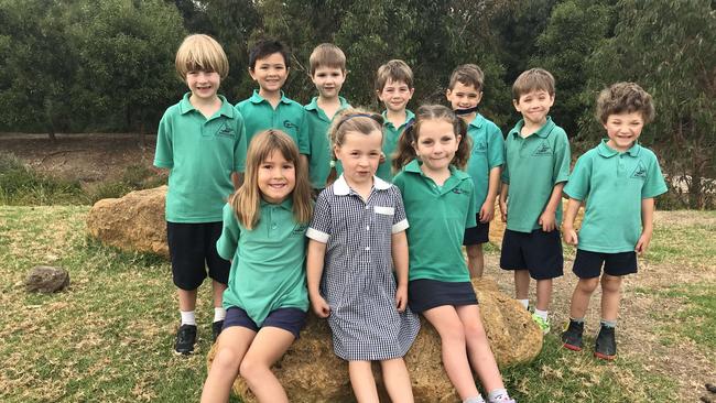Anglesea Primary School Junior R, Back row left to right Joe Scanlan, Rhys Hargreaves, Lachlan Szelest, Sid Roberts, Oli Whiting Navarro, Ruairi Corcoran, Franklin Miller Front row left to right Nova Jones, Maggie Gilbert, Florence Bates. Absent Ã Paige Roney. Picture: Supplied