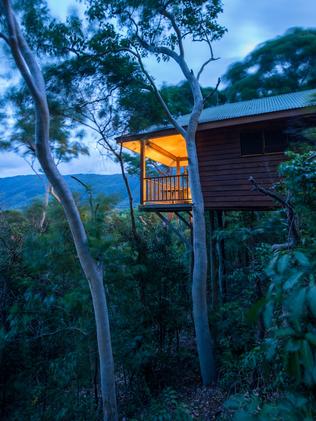 HIGH LIFE: Slumber in the treetops at Thala Beach Nature Reserve