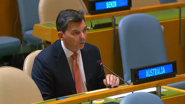 Australia's UN ambassador James Larsen addresses the General Assembly in New York. Picture: United Nations