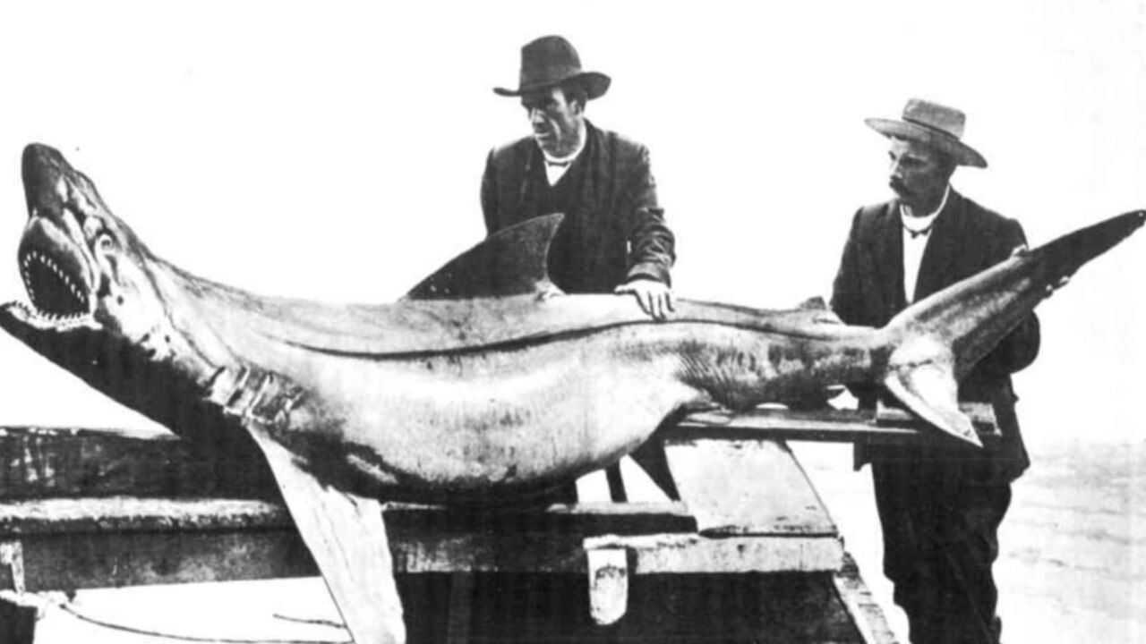 Middle Brighton pier shark attack: Norman Clark missing after 1930 ...
