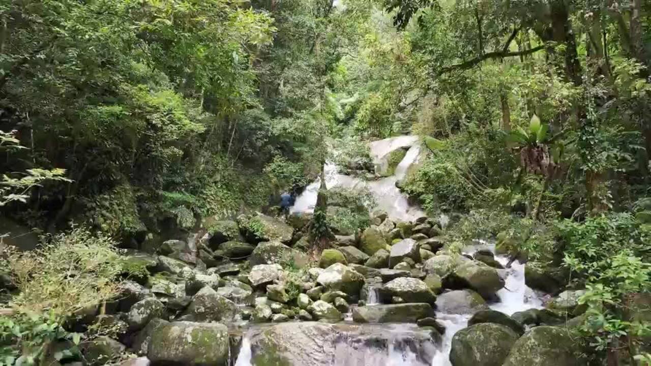 Sean Dromey in Wooroonooran National Park