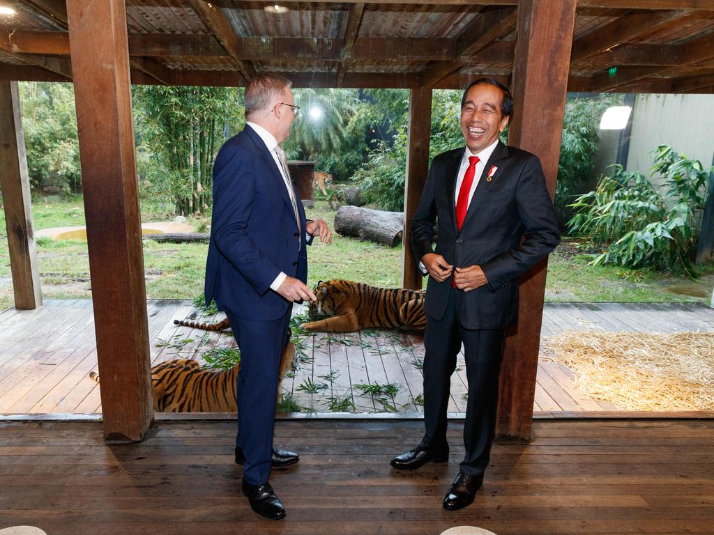 Prime Minister Anthony Albanese with Indonesian President Joko Widodo at Taronga Zoo. Picture: NCA NewsWire / David Swift