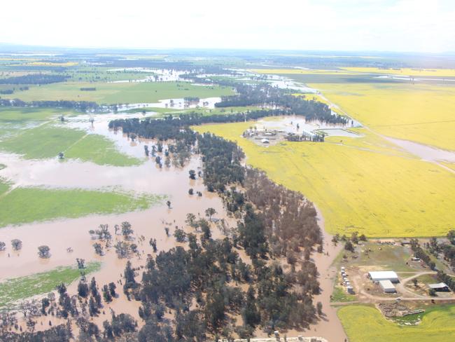 Back Creek water, east of West Wyalong heading towards Newell Highway and Lake Cowal. Picture: Glenn Neyland/Bland Shire Council