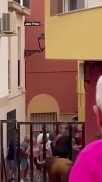 Horror moment bull gores man in scrotum