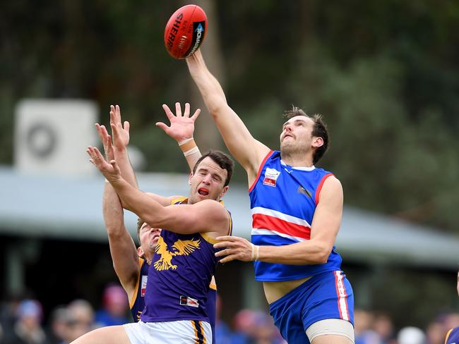 Jake Tucker gets hands to the ball over Tom Schneider. Picture: Andy Brownbill