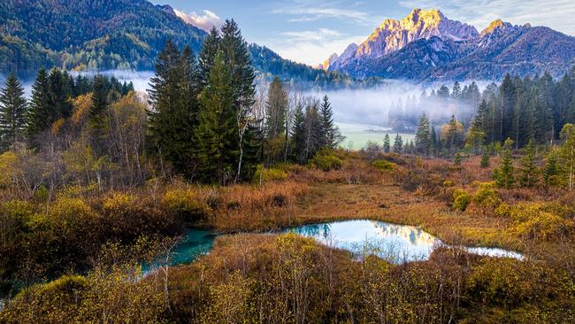 EMBARGOED UNTIL 11:01 AEST 02/02/24 // International Garden Photographer of the Year winners // Pictured: Breath of the Forest Triglav National Park, Slovenia Zelenci Springs is a nature reserve near the town of Kranjska Gora, in Slovenia. Its multiple springs are considered as one of the main sources of the River Sava. This scene was taken on a late October morning, when the 'breath' of the wetland trees appeared as low hanging fog over the area. I combined three exposures together to form this HDR photo. // CREDIT: Zsolt Varanka/IGPOTY // SPEAK TO OLIVIA HARRIS FOR USAGE