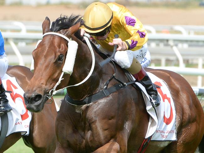 Perfect Dare wins at Eagle Farm, Nov 19, 2019. Must credit: Grant Peters, Trackside Photography