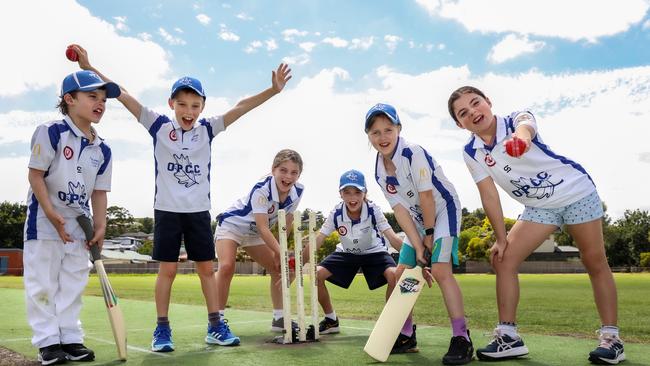 Junior cricketers Raf, Harvey, Keira, Curtis, Charlotte and April from the Oak Park Cricket Club have taken advantage of Active Kids vouchers to play sport. Picture: Ian Currie