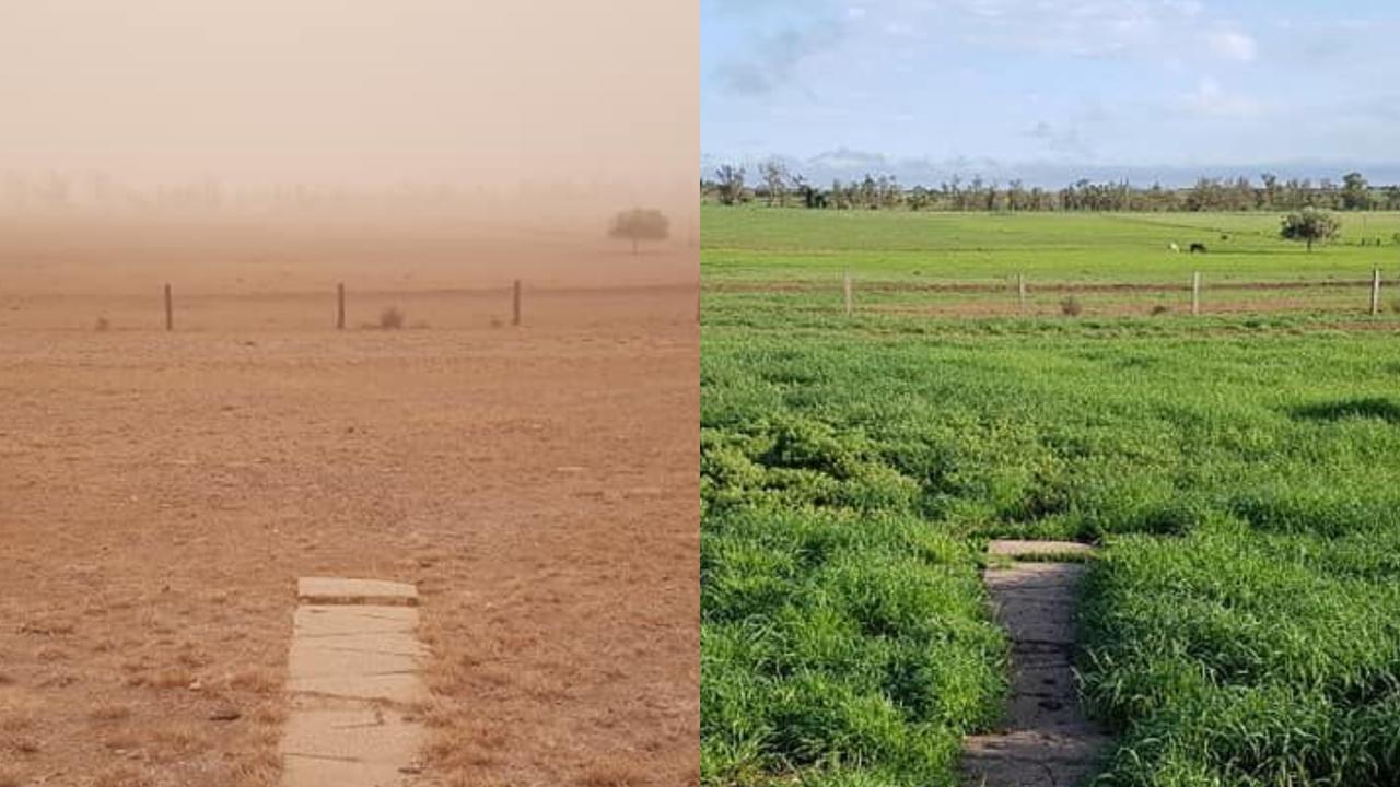 Julie Nixon's property near Dulacca has been transformed by recent rain. She said they have received about 100mm since January.