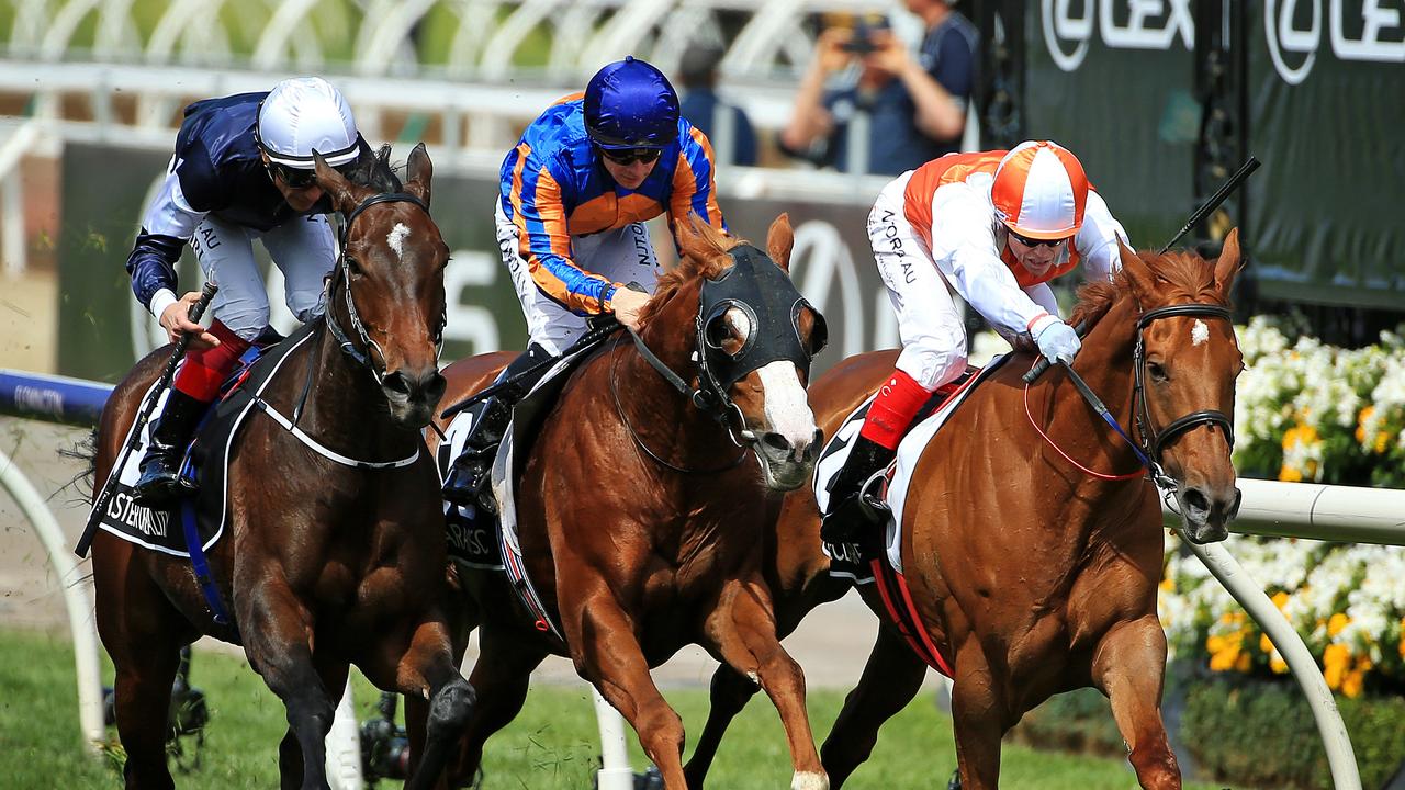 Melbourne Cup Crowd hope for race that restarts the nation Daily