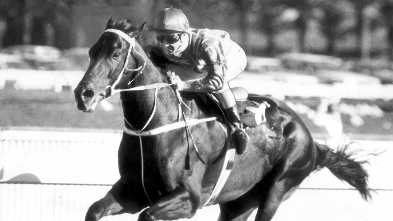 Horseracing - racehorse Kingston Town ridden by jockey Malcolm Johnston winning Sydney Cup at Randwick 12 Apr 1980. a/ct