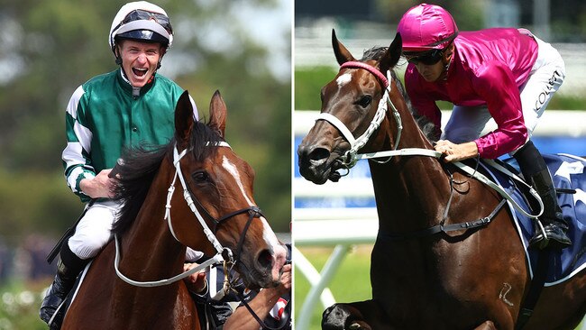 Star mares Via Sistina (left) and Fangirl will have exhibition gallops between races at Rosehill on Saturday.