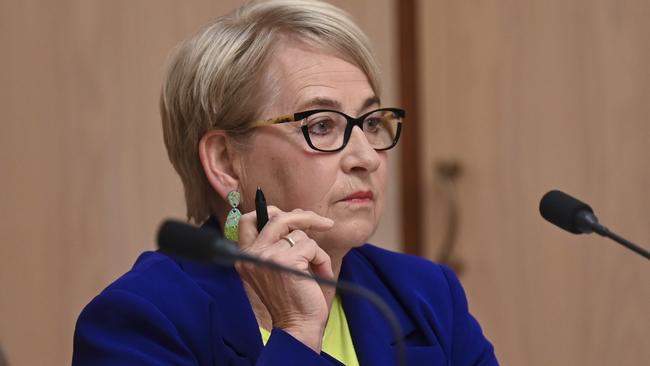 Greens Senator Barbara Pocock during her questioning of PwC chief Kevin Burrowes. Picture: Martin Ollman