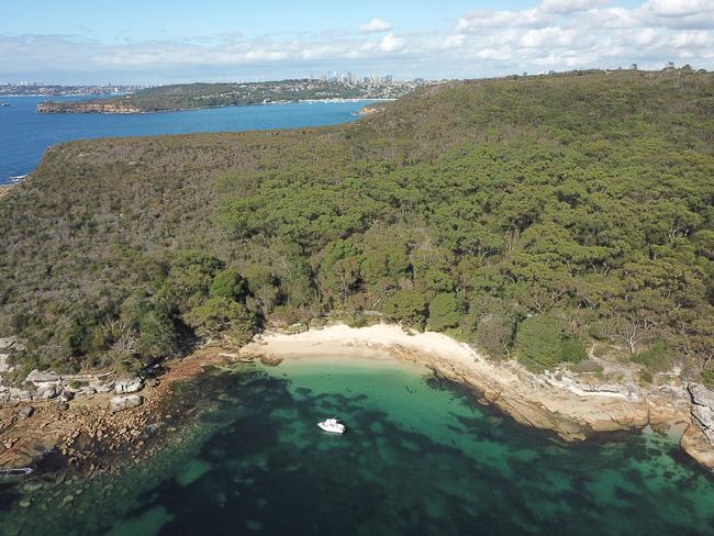 Reef Beach. Photo Manly Daily