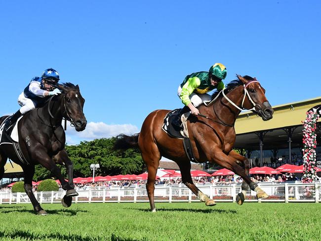 Yellow Brick moves to within touching distance of scoring a spot in the Group 1 Stradbroke Handicap with his win at Eagle Farm on Saturday. Picture: Grant Peters, Trackside Photography.