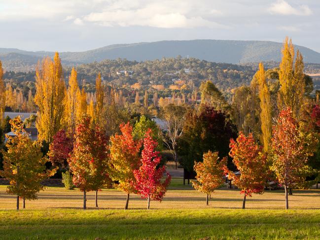 Armidale’s beautiful landscape comes into its own during Autumn.