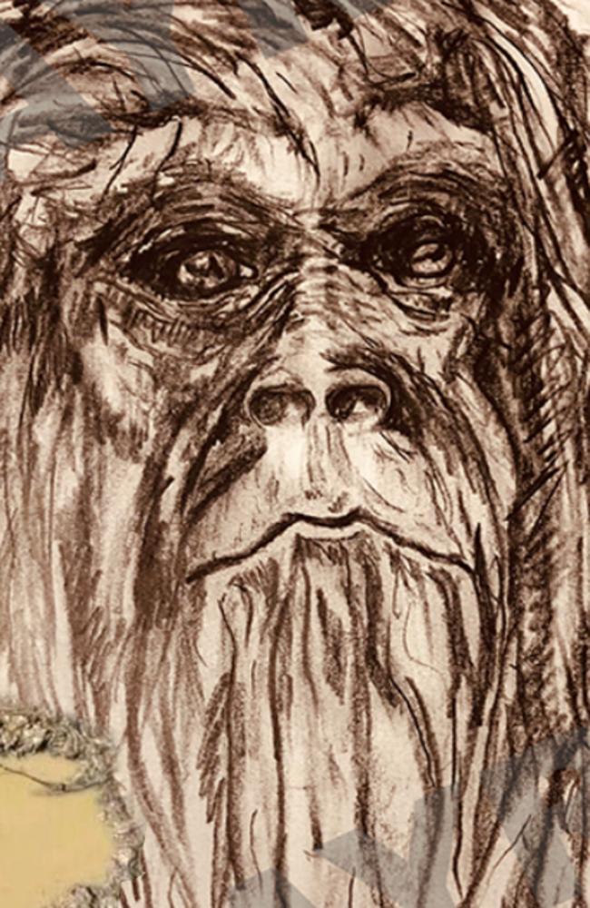 A detailed sketch of a yowie an Australian woman claims to have seen. Picture: AYR