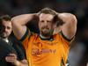 ‘Worth millions’: Why Bledisloe 2 is make-or-break for Australian rugby
