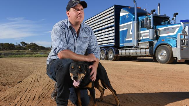 Operations manager of Trans Australian Livestock Transport, Jason Thornhill at the stockyards in Murray Bridge. Picture: Naomi Jellicoe