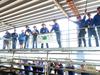 Young cattle: Rates continue to fall