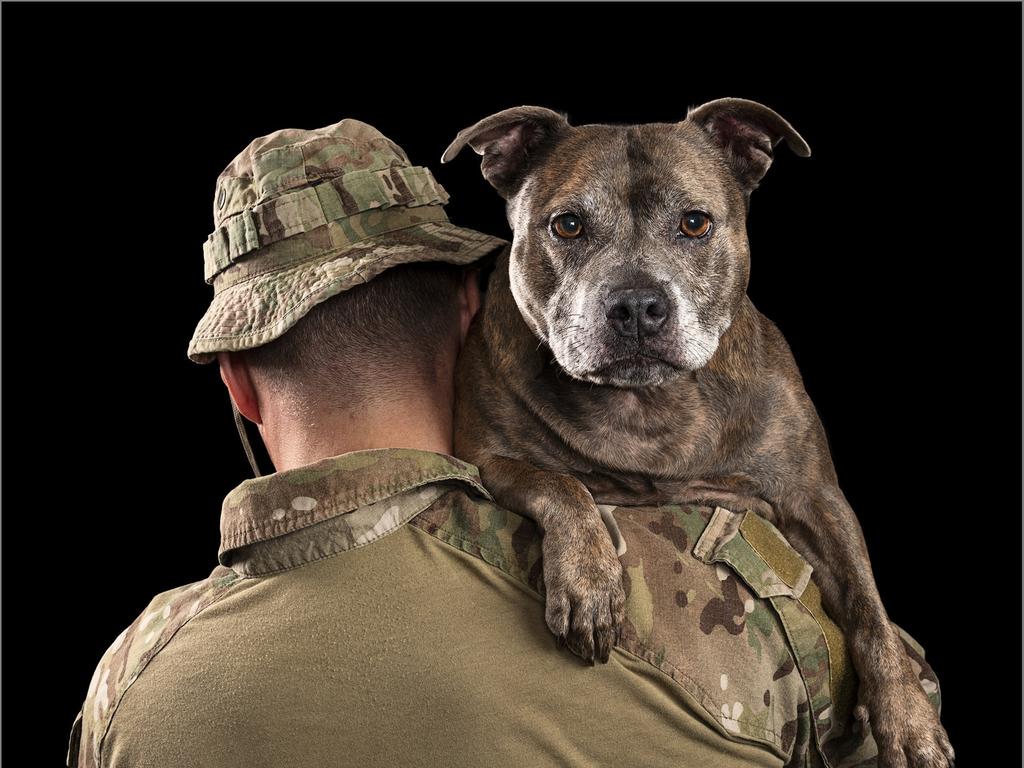 Zoo Studio book to raise funds for PTSD Dogs Australia. Picture: Zoo Studios