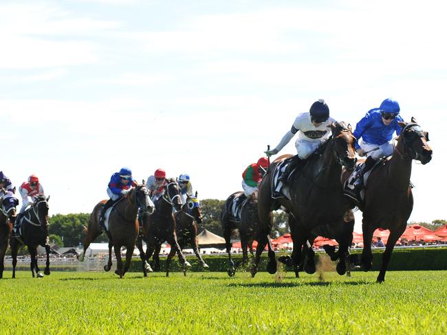 Randwick hosts the Villiers Stakes meeting on Saturday. Picture: Simon Bullard