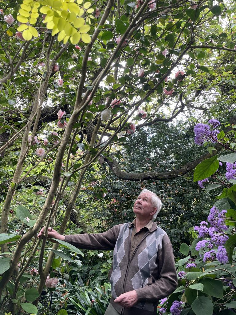 There are ‘thousands’ of plants at Elegans.