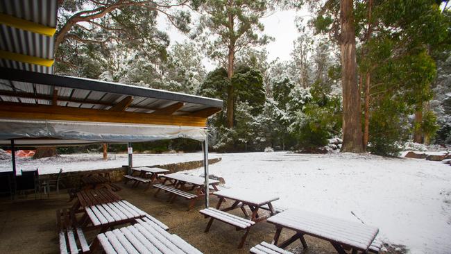 Snow at Mt Field National Park on August 3rd 2015. Hobart Snow DVG Mt Field National Park. Pic supplied by Rachel Power