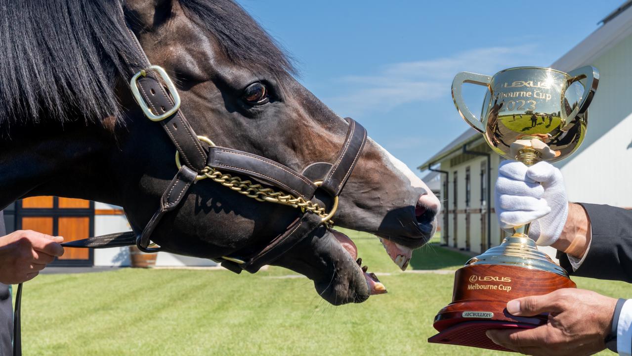 Household borrowers shouldn’t expect to be winners on Melbourne Cup Day. Picture: supplied