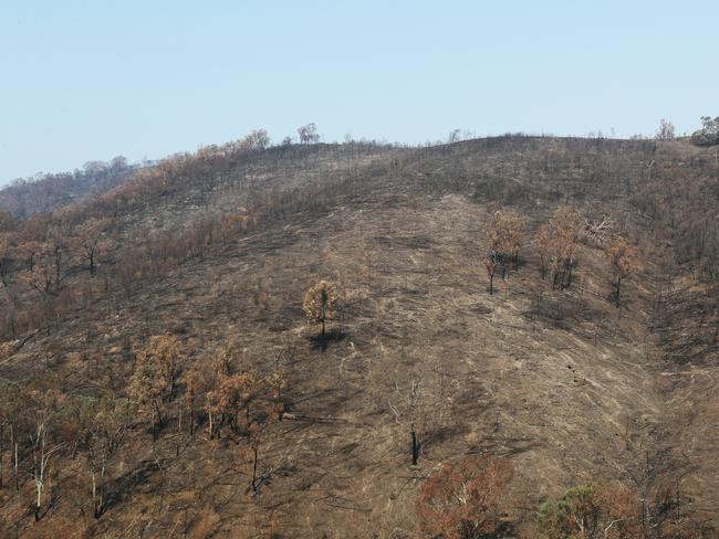 **FILE IMAGE** A burnt hillside is seen beside the Tambo river and the Great Alpine road in the Victorian high country, Saturday, January 25, 2020. The Great Alpine road has been reopened after recent bushfires caused major damage with burnt fallen trees and land slides blocking the road. (AAP Image/David Crosling) NO ARCHIVING