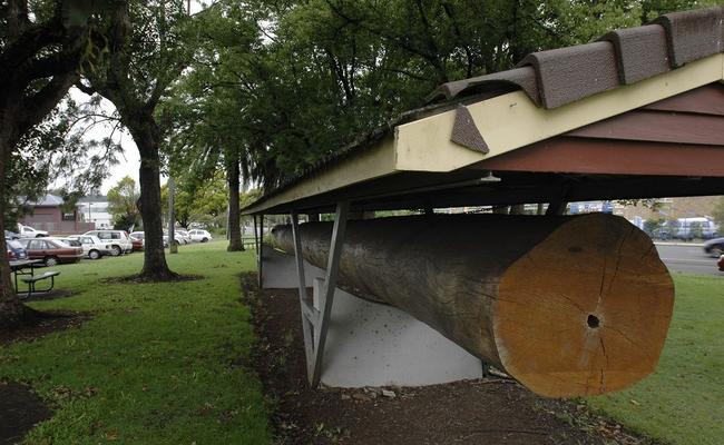 The cedar log being moved to the entrance of Lismore City Hall