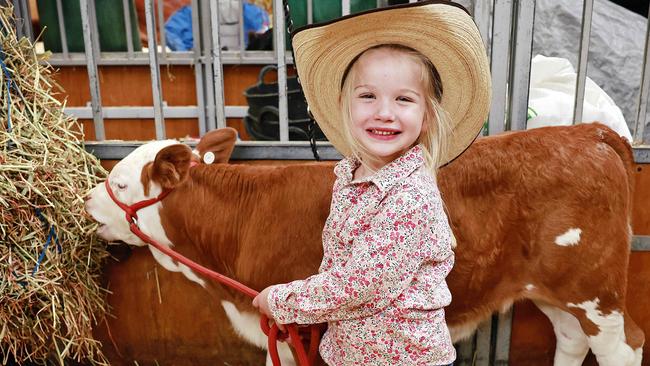 Cowgirl Lucy Cramp, 5, with four-week-old calf Verity at their first Royal Easter Show. Picture: Sam Ruttyn