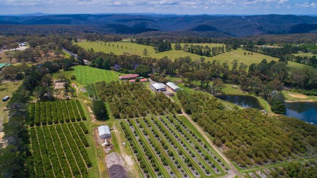 Food and agriuclure on the Central Coast are worth $780 million Picture: Andrew Cooney's