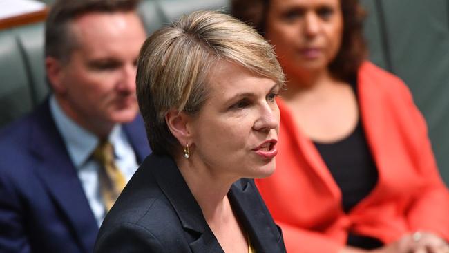 Deputy Leader of the Opposition Tanya Plibersek makes a 90 second statement in the House of Representatives in Canberra, Wednesday, February 28, 2018. (AAP Image/Mick Tsikas) NO ARCHIVING