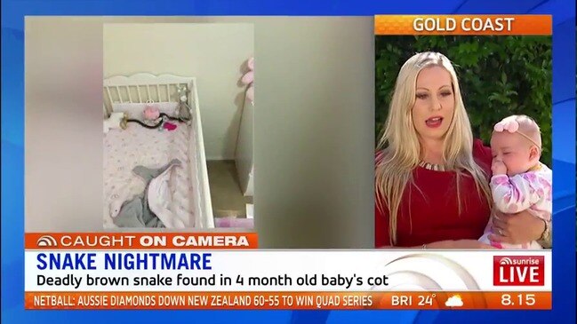 A mother has had the fright of her life, finding a deadly brown snake in her daughter’s cot ( Sunrise )