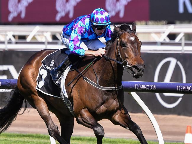 Pride Of Jenni ridden by Declan Bates wins the Kennedy Champions Mile at Flemington Racecourse on November 11, 2023 in Flemington, Australia. (Photo by Pat Scala/Racing Photos via Getty Images)