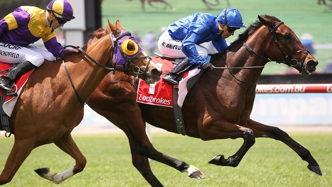 Qewy held on for a narrow victory in the Sandown Cup. Picture: Wayne Ludbey