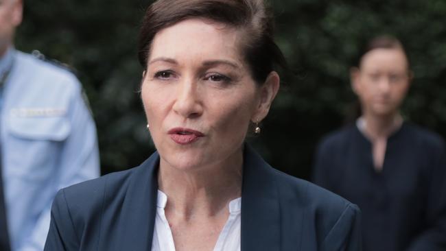 Queensland’s Minister for the Arts Leeanne Enoch. Picture: Mark Cranitch