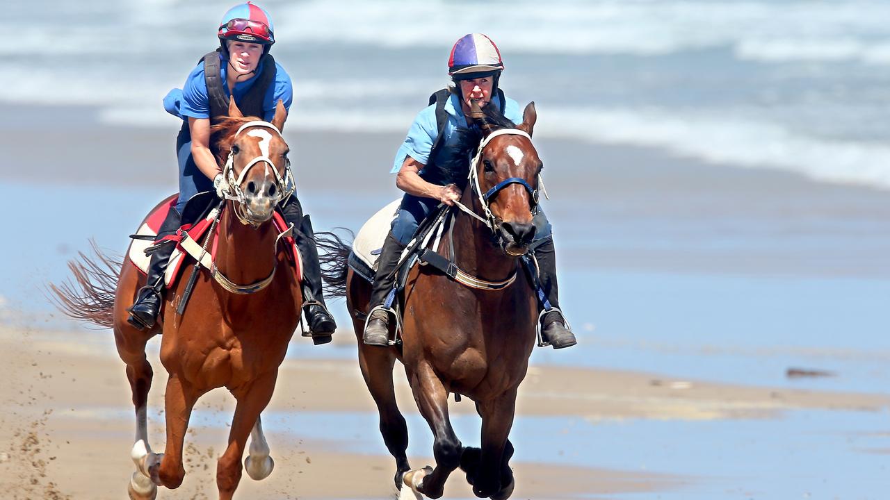 Horses galloping at 13th Beach.Picture: Glenn Ferguson.