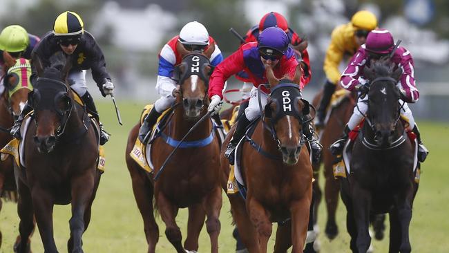 Racing in New South Wales on Tuesday is at Grafton.
