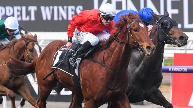 Melbourne gelding Cherry Tortoni will run in the Spring Champion Stakes instead of the Caulfield Guineas. Picture: Getty Images