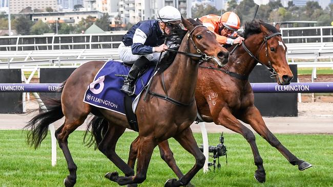 Degraves (navy and white) won the 2019 David Bourke at Flemington. Picture: Brett Holburt/Racing Photos via Getty Images