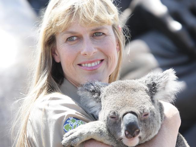 Terri Irwin cuddles a koala at Australia Zoo, a conservation park she manages following the death of husband Steve Irwin in 2006. Picture: Cade Mooney/Sunshine Coast Daily