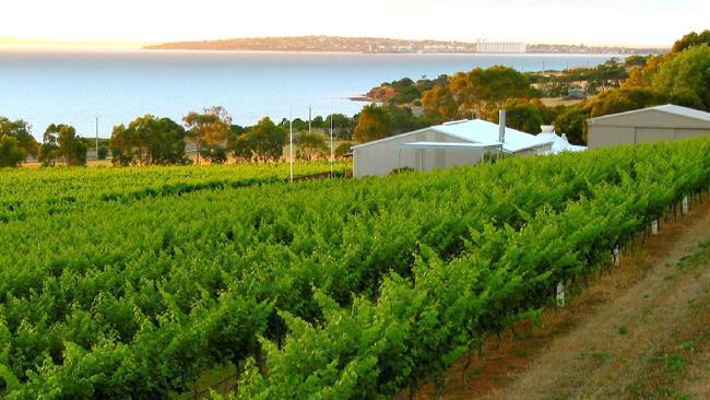 The stunning views at Boston Bay Wines.