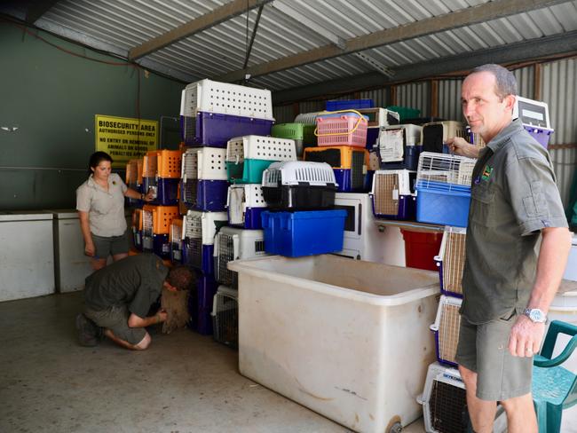 Travel cages and boxes are ready to go. Picture: Australian Reptile Park